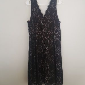 NWT Loft Lace Dress